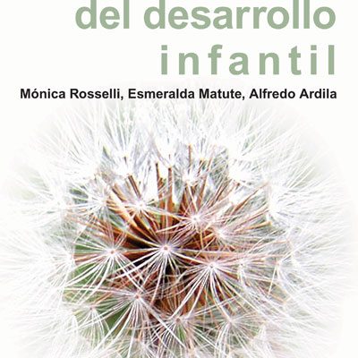NEUROPSICOLOGÍA DEL DESARROLLO INFANTIL