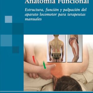 ANATOMÍA FUNCIONAL