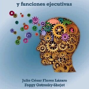 DESARROLLO NEUROPSICOLÓGICO DE LÓBULOS FRONTALES Y FUNCIONES EJECUTIVAS