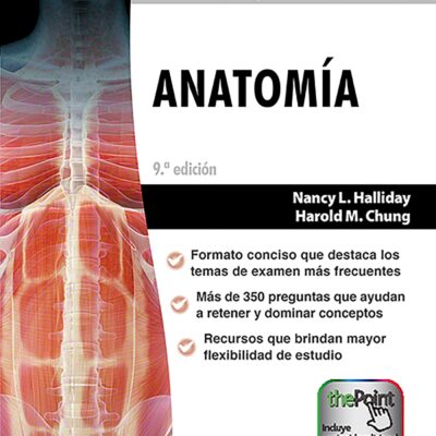 SERIE RT ANATOMÍA