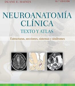 NEUROANATOMÍA CLÍNICA