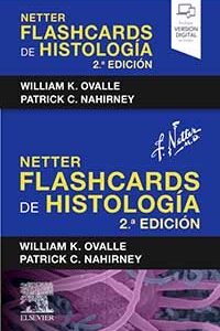Netter. Flashcards de histología