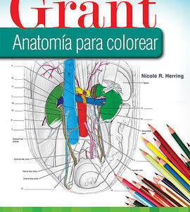 Grant. Anatomía para colorear