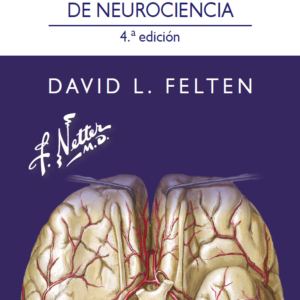 NETTER. FLASHCARD DE NEUROCIENCIA