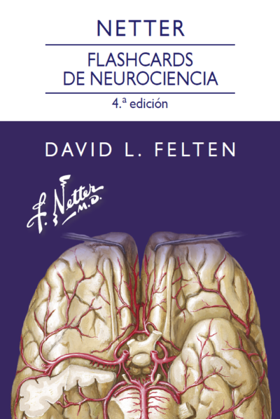 NETTER. FLASHCARD DE NEUROCIENCIA