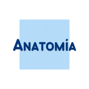 ANATOMÍA